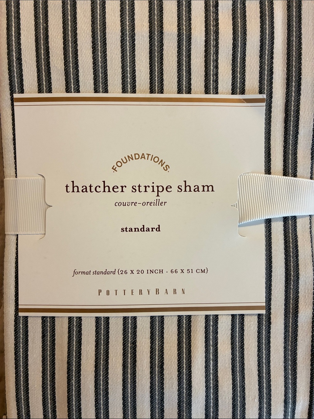 Pottery Barn Striped Standard Sham